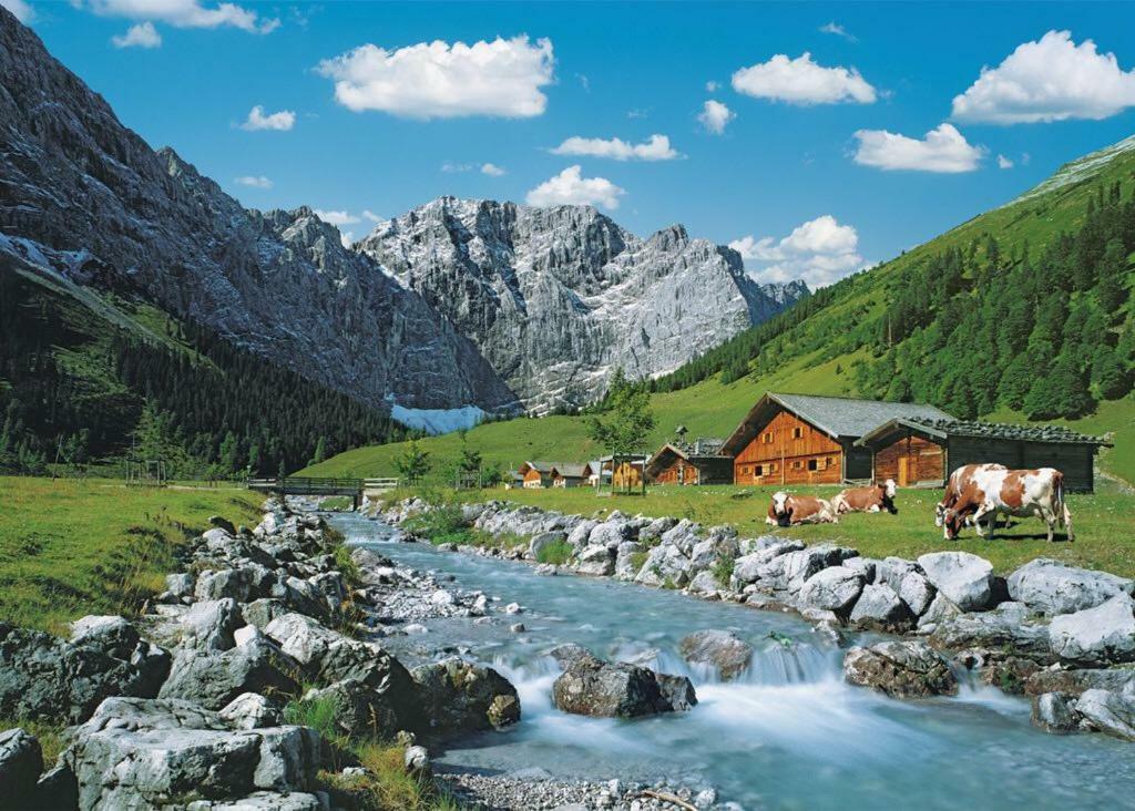 Appartmenthaus Birkenwald ゼーフェルト・イン・チロル エクステリア 写真